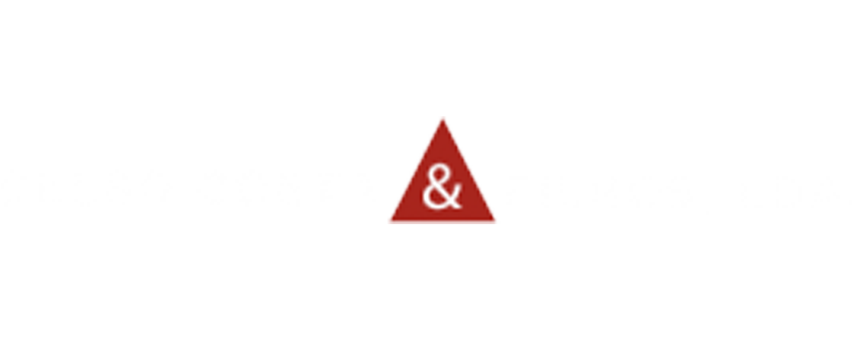 image logo
