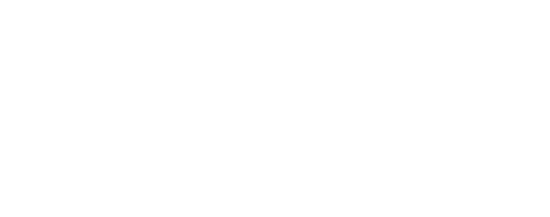 The Irish Bar Viseu